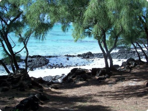 Маврикий является самым популярным и роскошным международным курортом